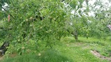 20200623123051_ps-