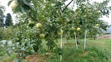 20200823075545_ps-s-