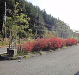 2011_10_09 semine 01