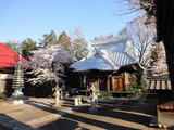 2010_04_25 terakubo 04