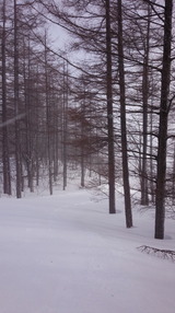 2015_03_10 oguna 01