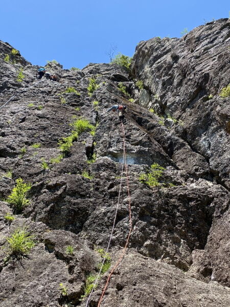 image11