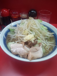 snj02
