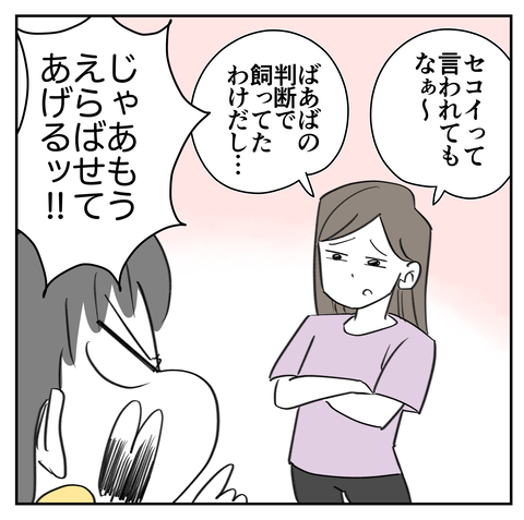ペット