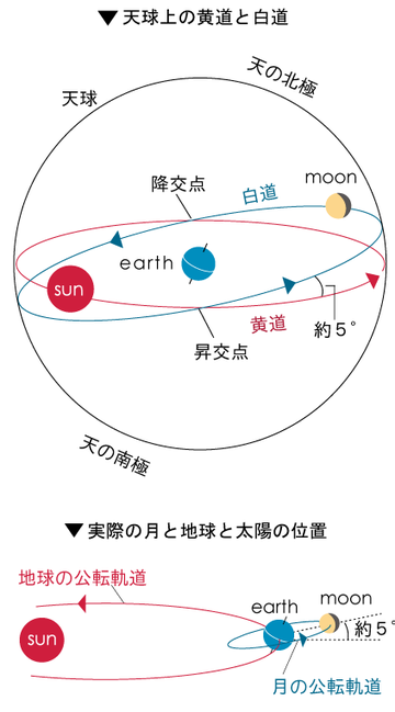 月の公転・白道