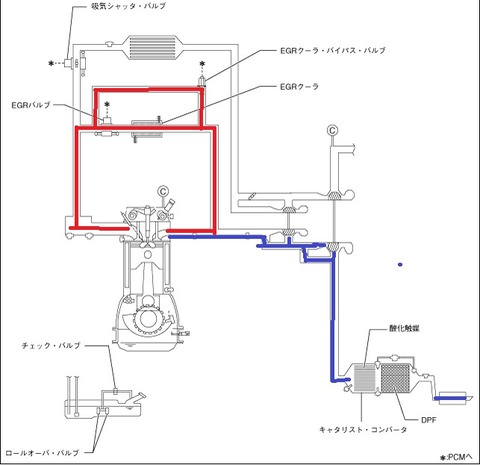 EGR3