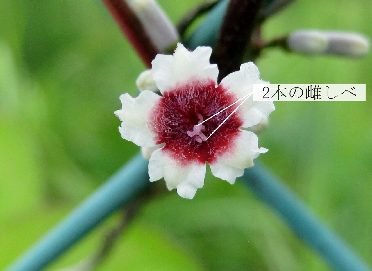 21年12月29日 ま いいか 21年12月29日 ま いいか