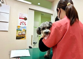 春の健診