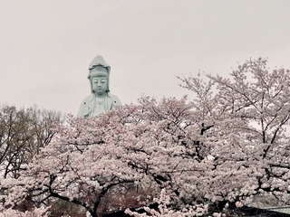 2022観音山
