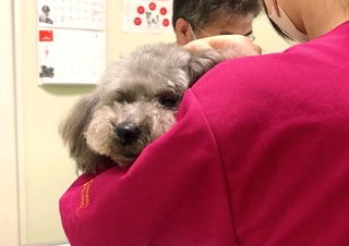 ワクチン接種