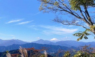 高尾山から