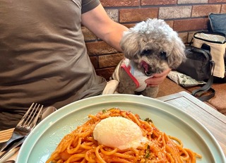 ナポリタンRUI