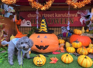 さくらハロウィン