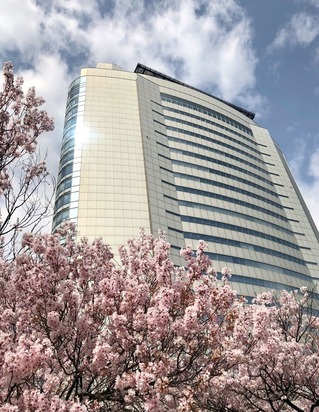 市庁舎