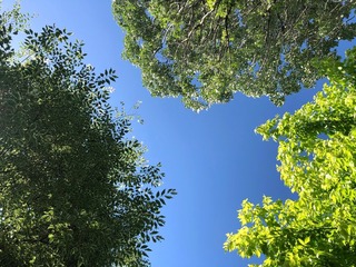 2020夏