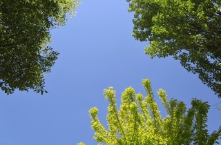 青空