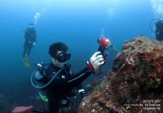 大島ダイビング写真