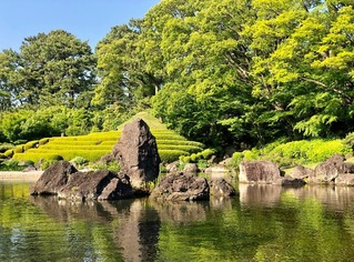 駿府城公園