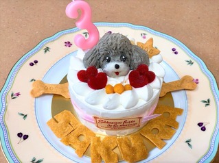 さくら３🍰