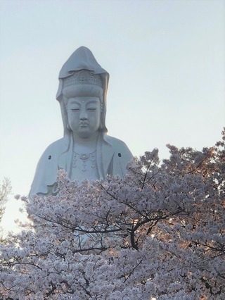 白衣観音