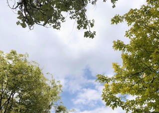 軽井沢