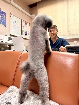 おねだり