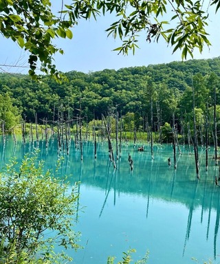 青い池