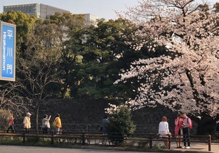 2018東京さくら