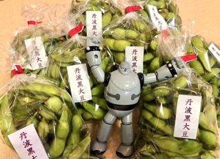 丹波黒豆
