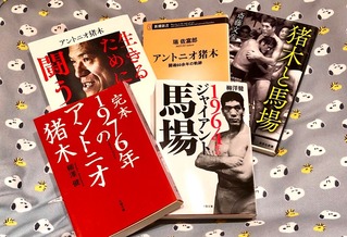 BI砲