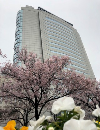 高崎市庁舎