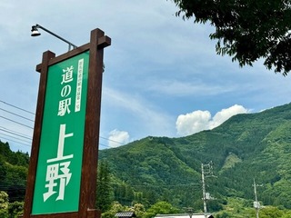 上野村