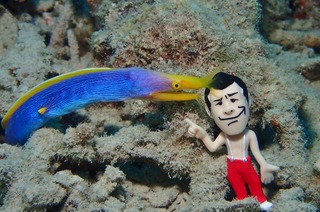 ハナヒゲ