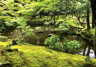 苔寺
