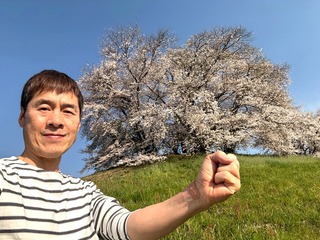 28年目へ