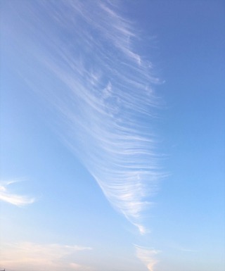 巻雲