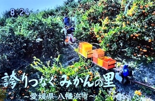 八幡浜
