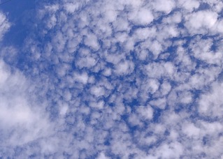 イワシ雲