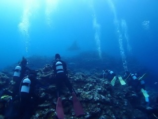 0913マンタシティ