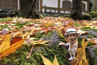 Z in 永平寺