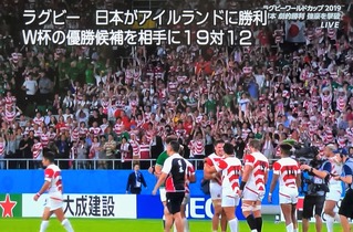アイルランド勝利