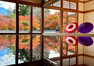 床もみじ