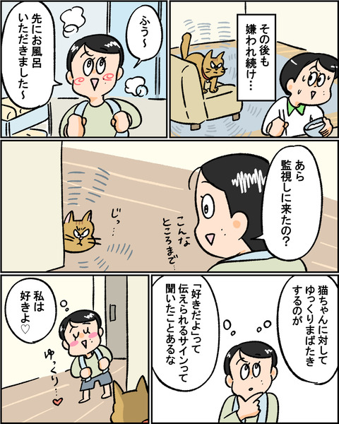 猫の損返し2