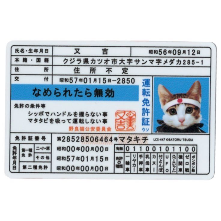 453efa718ac04dc4b2ccec07bfdeb3f7