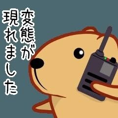 6d55c7464cea1ce3d7f67f2da99c5f43