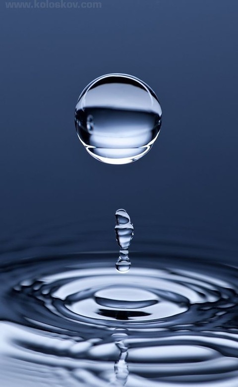 f4d34123519ad57ea1b7dd5eeeebbfe9