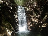 DSCN7170
