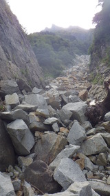 IMGP0619