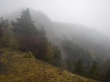 DSCN5089
