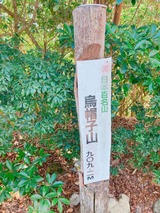 ダウンロード